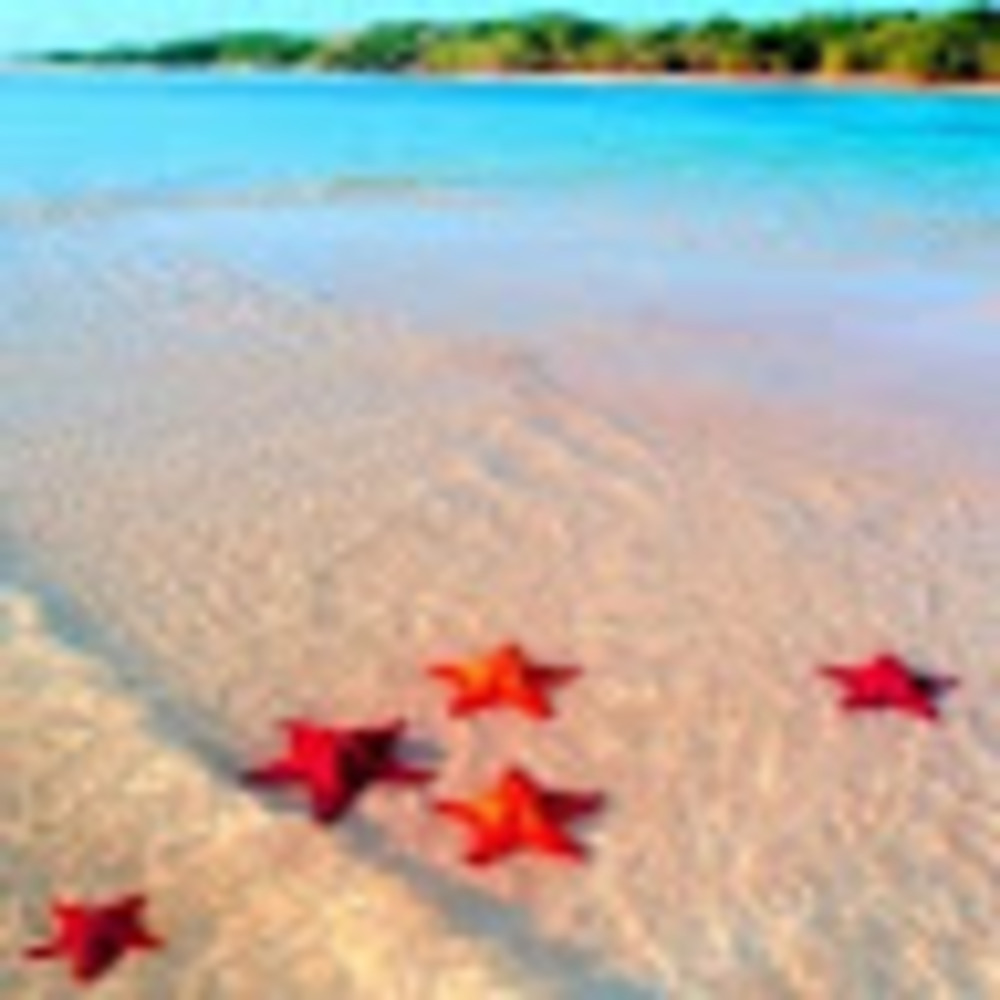 Meet your Posher, Beta